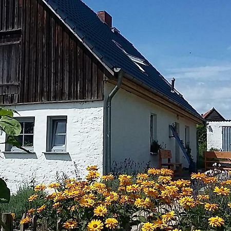 Hotel Zum Storchennest Kemnitz  Exterior foto